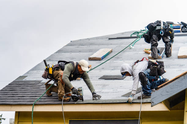 Professional Roofing technician working in Rochert, MN
